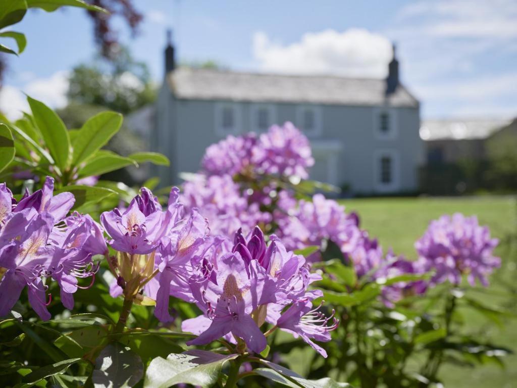 5 Bed In Loweswater Sz424 Lorton Exterior photo